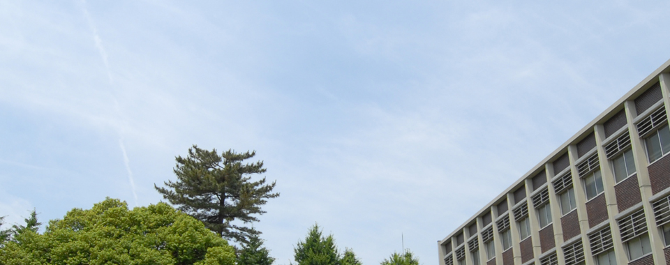 入学案内