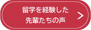留学を経験した先輩たちの声