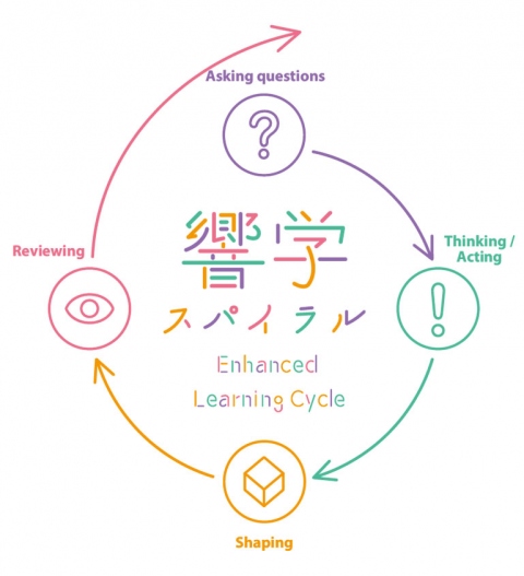 The Enhanced Learning Cycle