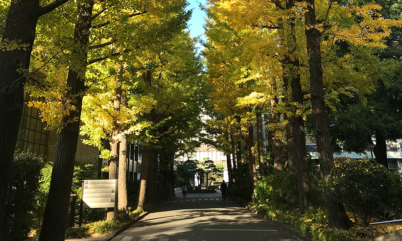 武蔵野大学工学部建築デザイン学科